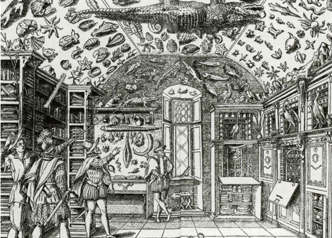 美術館・博物館の歴史