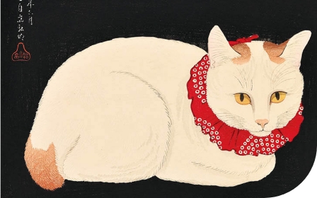 美術館・博物館の歴史